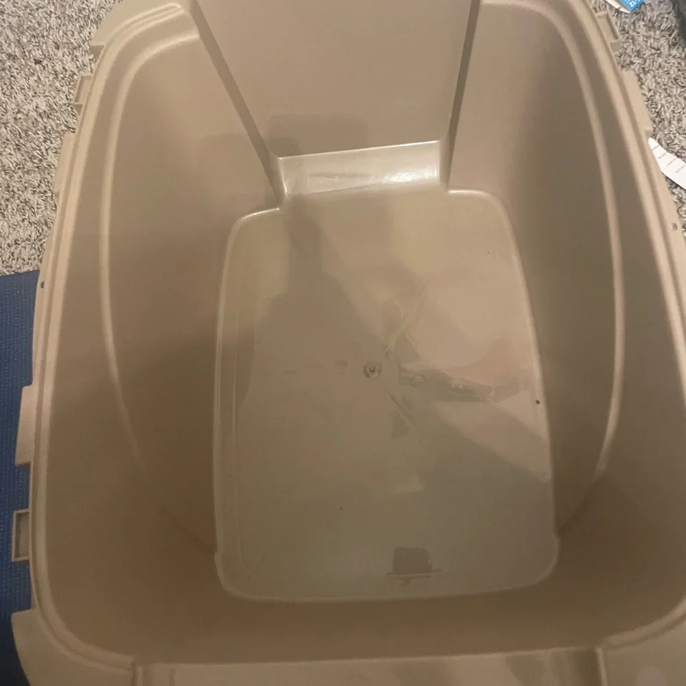 Cat Supplies & Accessories
